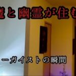 【事故物件】ポルターガイストで嫌がらせをしてくる悪魔