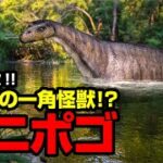 目撃多数！！カナダの一角怪獣！？ マニポゴ