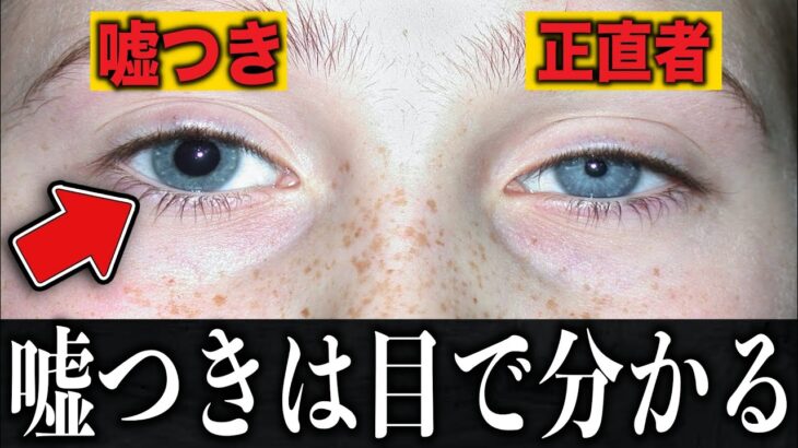 【衝撃】あなたは普通の人じゃないかも？人生が変わる心理学がツッコミどころが満載だったwwwwww#3【都市伝説】【なろ屋】【ツッコミ】