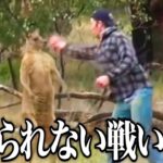 【衝撃】実在する動物ランキングがツッコミどころ満載だったwwwwww#71【なろ屋】【ツッコミ】【都市伝説】【衝撃】