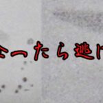 【ゆっくり解説】出会ったら逃げろ！謎の未確認生物4選【UMA】