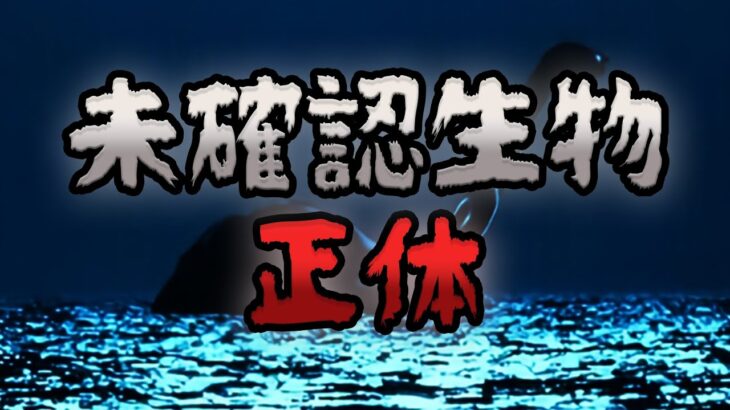 【ゆっくり解説】未確認生物の正体5選