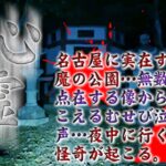 【心霊】もはや公園ではない…！名古屋に広がる巨大公園の心霊に挑む！【心霊配信(怖い動画) 全国心霊スポット配信の旅#52】