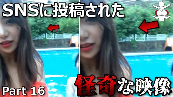 【恐怖&心霊映像】SNSに投稿された怪奇な映像４選  Part16【作業妨害】