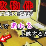 【事故物件】今度は無人で…ホラー映画の次はジブリです【心霊スポット、ユーチューバー】心霊、住んでみた、心霊映像、トトロ、日常、幽霊、検証、番組、There are ghosts in my house