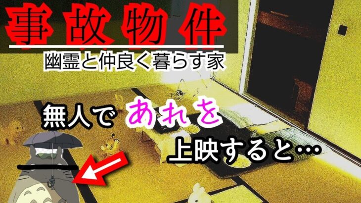 【事故物件】今度は無人で…ホラー映画の次はジブリです【心霊スポット、ユーチューバー】心霊、住んでみた、心霊映像、トトロ、日常、幽霊、検証、番組、There are ghosts in my house