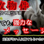 【事故物件】たぶん今回は感動して涙します【心霊スポット、ユーチューバー】心霊、住んでみた、ガチ、日常、オカルト、怖い、映像、幽霊、廃墟、番組、There are ghosts in my house