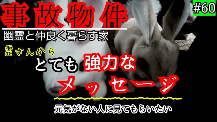 【事故物件】たぶん今回は感動して涙します【心霊スポット、ユーチューバー】心霊、住んでみた、ガチ、日常、オカルト、怖い、映像、幽霊、廃墟、番組、There are ghosts in my house