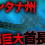 【未確認生物/UMA】ネッシーと酷似!? アメリカに生息する巨大首長竜「モンタナネッシー」