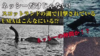 『ネッシーだけじゃない！！』【スコットランドの湖で目撃された水棲獣UMAたち】