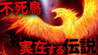 【未確認生物/神話】目撃された不死鳥⁉︎ 伝説の神獣UMA「フェニックス」