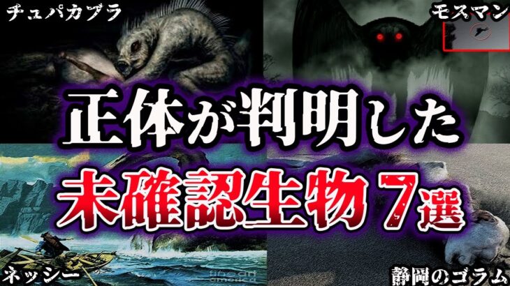 【ゆっくり解説】正体が判明したUMA・未確認生物７選