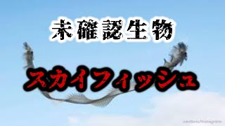 多数の目撃情報があるUMA…⁉その実態とは…。未確認生物【世界ミステリー】