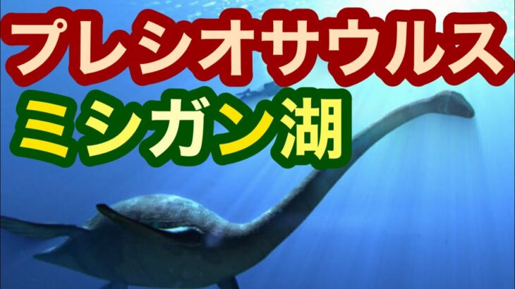 【UMA】プレシオサウルスか　未確認生物　五大湖