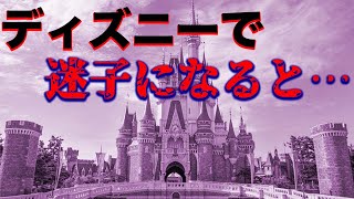 【都市伝説】ディズニーランドで迷子になった後がヤバすぎる件について解説！