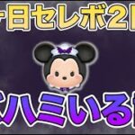 【都市伝説】三ヶ日２日目にバハミいる説