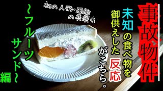 【事故物件】幽霊さんに未知の食べ物を御供えしたらどうなる？【心霊スポット、ユーチューバー】心霊、住んでみた、ガチ、１週間、現象、心霊映像、日常、オカルト、怖い、動画、映像、番組、会話、廃墟、怪奇現象