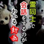 【事故物件】霊同士は会話する？そして関係性が見えてくる動画【心霊スポット、ユーチューバー】心霊、住んでみた、ガチ、心霊映像、日常、オカルト、番組、怖い、映像、廃墟、怪奇現象、影、幽霊、恐怖、物件、事件