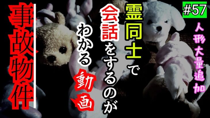 【事故物件】霊同士は会話する？そして関係性が見えてくる動画【心霊スポット、ユーチューバー】心霊、住んでみた、ガチ、心霊映像、日常、オカルト、番組、怖い、映像、廃墟、怪奇現象、影、幽霊、恐怖、物件、事件