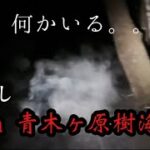 青木ヶ原樹海で年越してみた！大変な事が起きました。