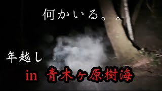 青木ヶ原樹海で年越してみた！大変な事が起きました。