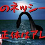 【未確認生物】海のネッシー・モーゴウルの正体に迫る!