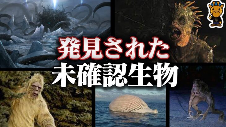 謎多き未確認生物の正体がついに判明しました