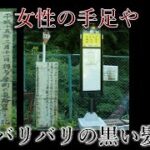 東京都の山中のバス停に置いてある奇妙な看板を調査する【都市伝説】