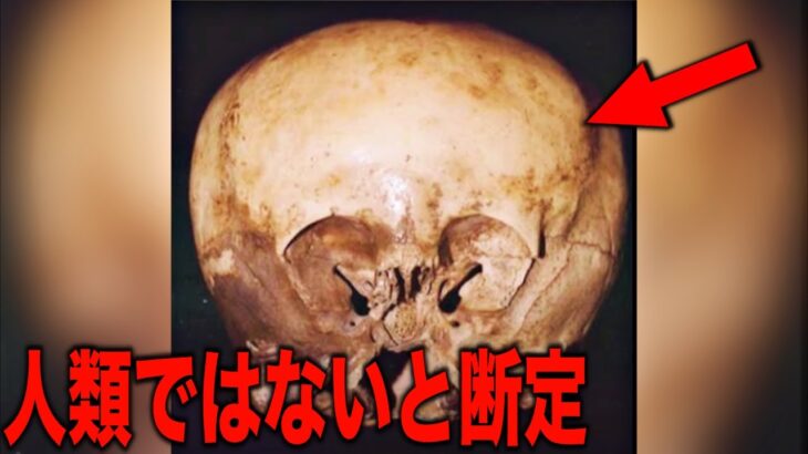 超古代に多数存在していた謎の生命体の正体…未だ解明されていない地球に飛来した謎の来訪者と考古学者も触れられない人類の本当の歴史とは?【都市伝説】