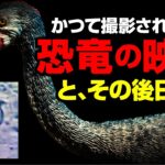 かつて撮影された！？恐竜の映像とその後日談