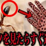 【衝撃】最強の毒を持つ生物ランキングがツッコミどころ満載だったwwwwww#73【都市伝説】【なろ屋】【ツッコミ】