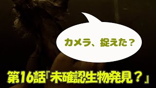 第16話『未確認生物発見？』【チワワ/ヨーキー(ヨークシャテリア)/ヨーチワ(チワーキー)/ミックス犬/犬動画/犬の風呂/未確認生物】