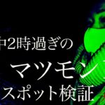 【心霊】深夜2時過ぎのマツモン1人の心霊スポット検証　奈良県　天理ダム 丑三つ編　3回連続同じ場所で心霊現象　女性の声　橋を叩く霊　機材トラブル　線香に寄ってきた者　【Japanese Horror】