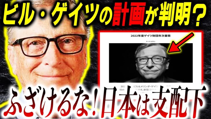 【事実】次の標的は日本！本音のサイトが明るみに⁉21年、ビル・ゲイツの目標と困難が3つある【都市伝説】