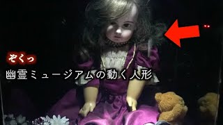 【海外心霊】呪われた展示品が3000点 幽霊ミュージアムの恐怖映像 YouTube TikTok SNSに投稿された心霊動画・恐怖映像【ぞくっとする動画】Part 77