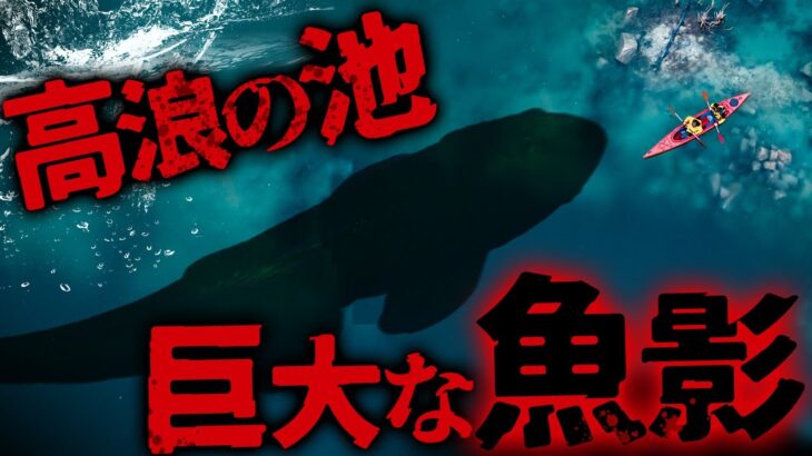 【ミステリー/未確認生物】日本で目撃される6m越えの伝説の超巨大魚!?  高浪の池に語り継がれる池の主「ナミタロウ」