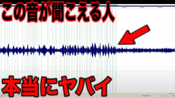 【音声あり】誰も解明できない恐怖の怪音が確認されている…世界で確認されている謎現象と99％が知らない衝撃の宇宙人の音声がヤバすぎる【都市伝説】