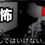 【恐怖映像】絶対に出会ってはいけない衝撃の未確認生物…４選！【黒綿棒Part13】