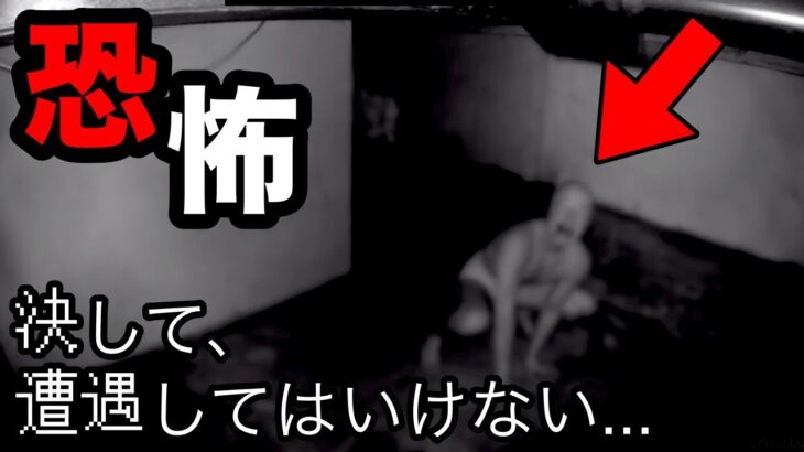 【恐怖映像】絶対に出会ってはいけない衝撃の未確認生物…４選！【黒綿棒Part13】