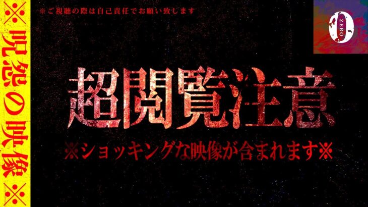 ※超閲覧注意※SSS級※過去一の心霊現象で続行不能!!ヤバすぎた呪いの投稿動画（後編）【心霊映像】