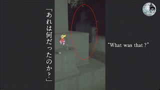 ［心霊動画］あれは何だったのか？ #Shorts