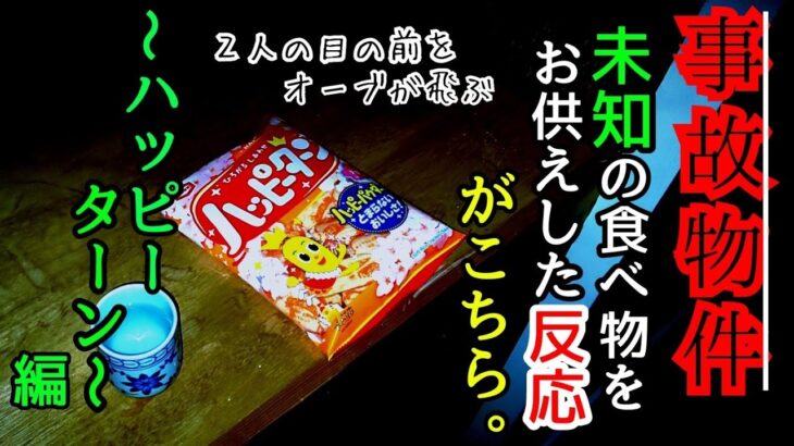 【事故物件】ハッピーターン効果？目の前を舞うオーブ…【心霊スポット、ユーチューバー】心霊、住んでみた、怖い、映像、日常、廃墟、モニタリング、霊、There are ghosts in my house