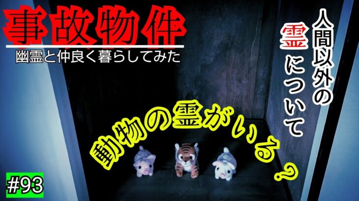 【事故物件】居ると感じるとき幽霊は近くにいるらしい【心霊スポット、ユーチューバー】心霊、住んでみた、ガチ、日常、霊、廃墟、怪奇現象、映像、怪談、There are ghosts in my house