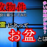 【事故物件】幽霊が多くなる時期がある？【心霊スポット、ユーチューバー】心霊、住んでみた、心霊映像、怪奇現象、日常、廃墟、怖い、映像、動画、番組、There are ghosts in my house