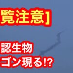 [閲覧注意]未確認生物UMAドラゴン現る⁉︎