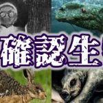 【UMA】世界の未確認生物６選【ゆっくり解説】