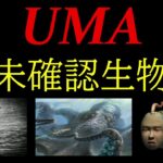 【独断と偏見】未確認生物ランキング【UMA】