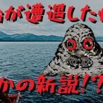 【未確認生物】ニュージーランド沖に現れたUMA・カバゴン