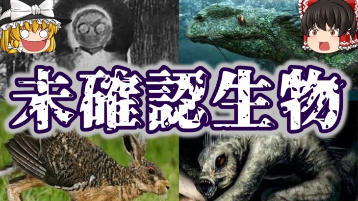 【UMA】世界の未確認生物６選【ゆっくり解説】