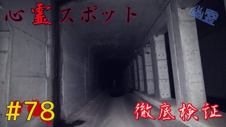 【徹底検証】過去に撮影した怪奇現象疑惑の検証～超マニアックな心霊の世界へようこそ【全国制覇】-japanese haunted places